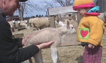 Sophia meeting Little  Susie during Easter Week