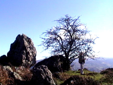 popular news in 2000
on At the top we were on the French Spanish border, though there wasn't ...